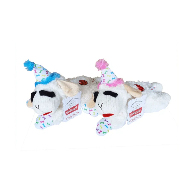 Lambchop Birthday