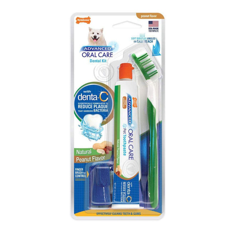 Advanced Oral Care Natural Dog Dental Kit | Nylabone