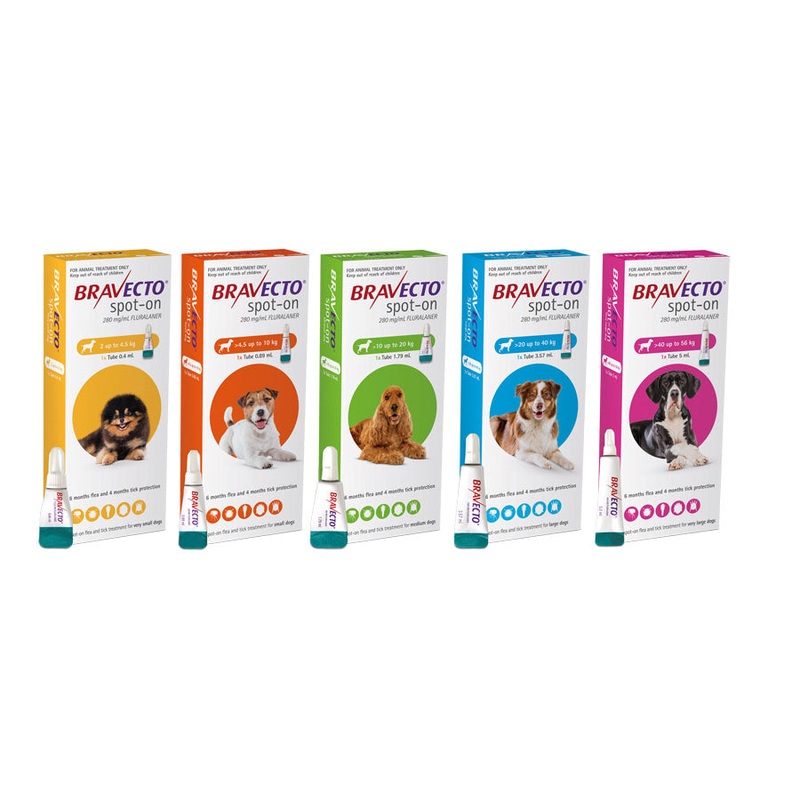 Flea & Tick Spot On For Dogs | Bravecto