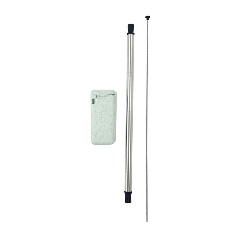 Callapsible Stainless Steel Straw In Box With Cleaning Brush - Mint