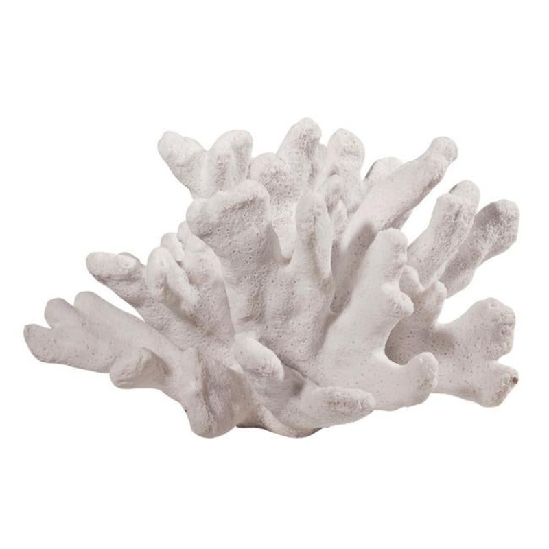 Rembrandt Elkhorn Coral Sculpture SE2113
