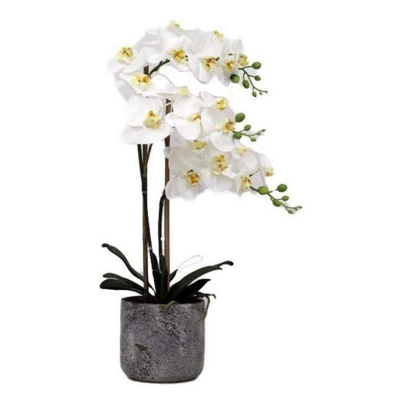 Rembrandt Real Touch Orchid 3 Spray YI1008