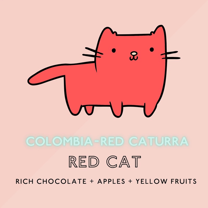Red Cat Light Roast