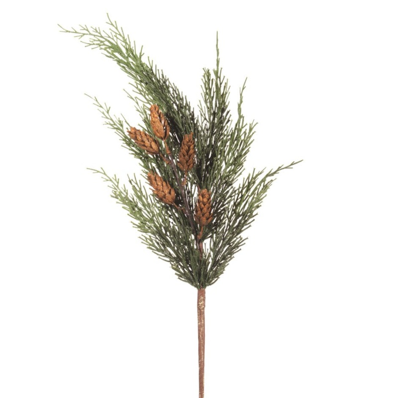 Cedar Cones Spray