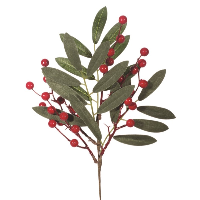 Olive Leaf and Berry Pick