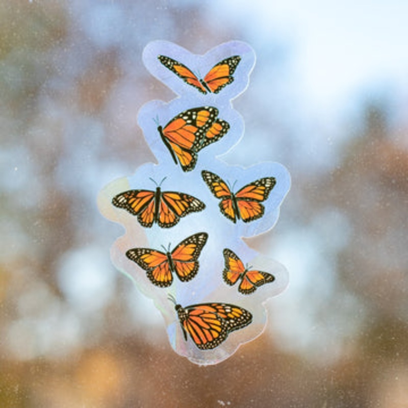 Butterflies Sun Catcher