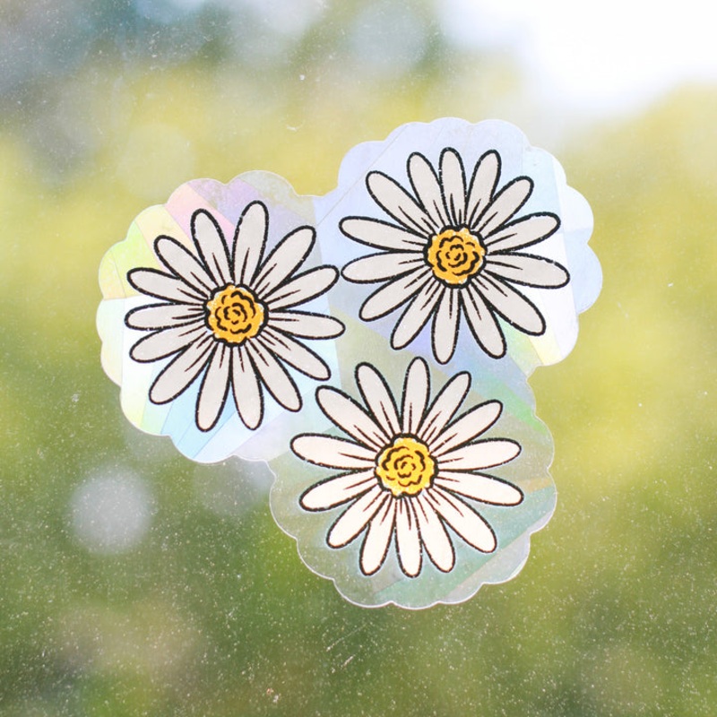 Daisies Sun Catcher