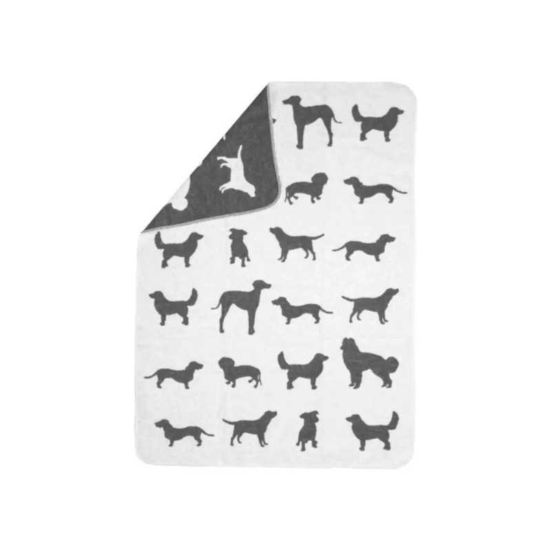 David Fussennegger - Dog Blanket