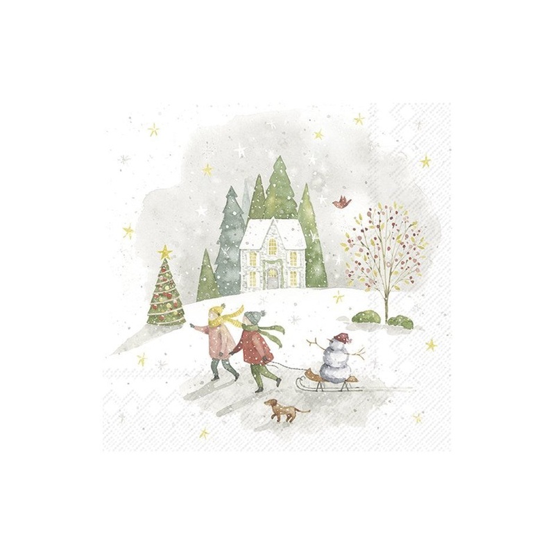 Looking for Christmas Paper Napkins - Cocktail