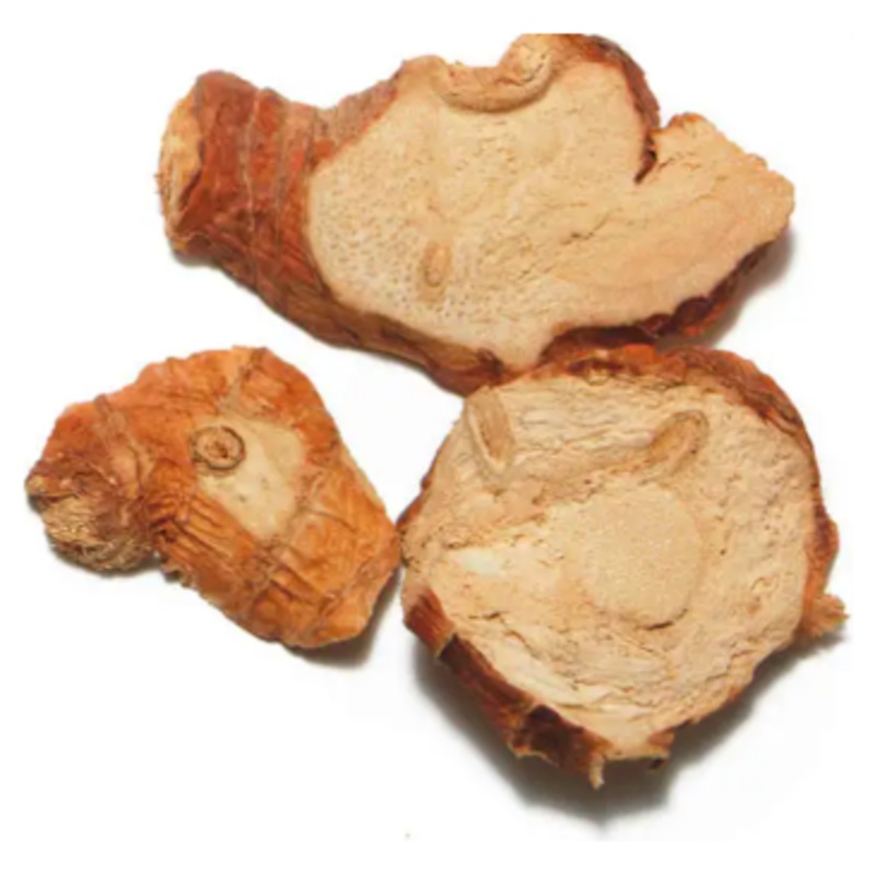 Galangal