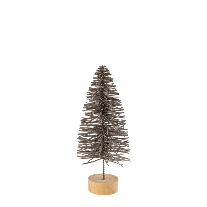 Small Grey Alpine Rattan Tree