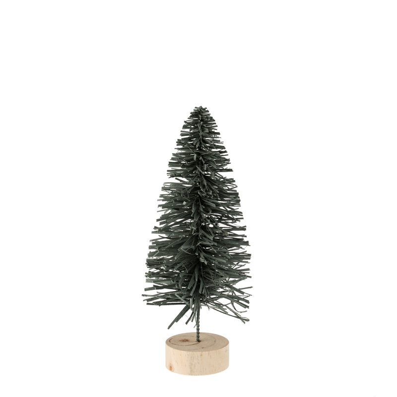 Small Teal Alpine Rattan Tree