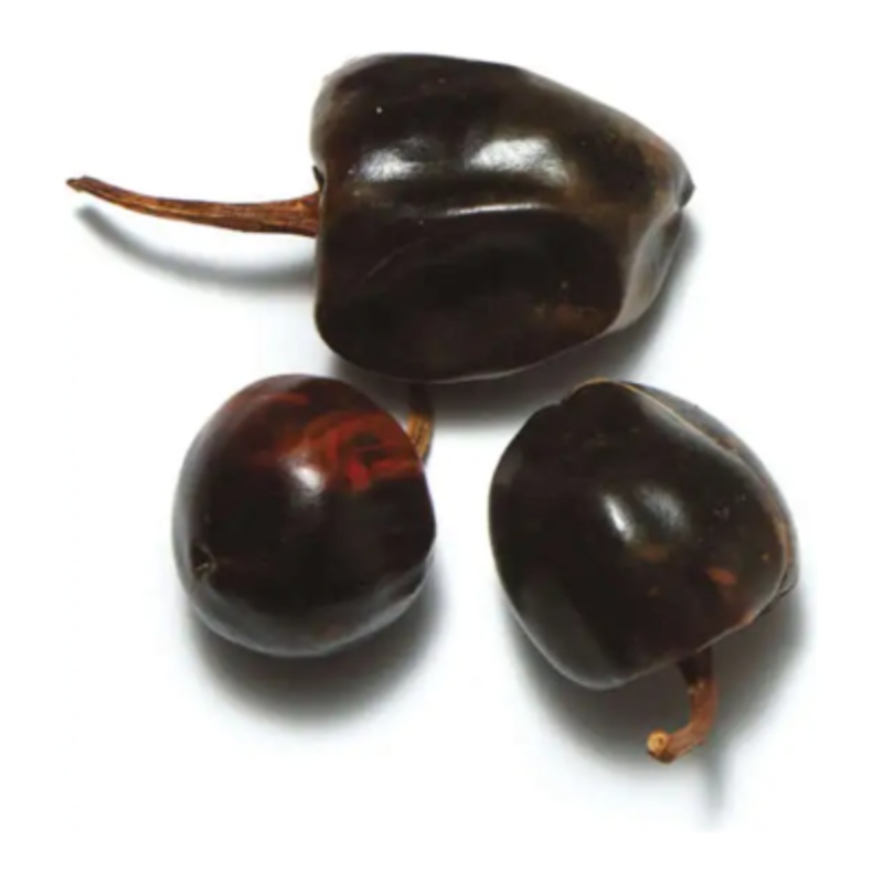 Chile Cascabel 4/10 (Mexico 30 g)