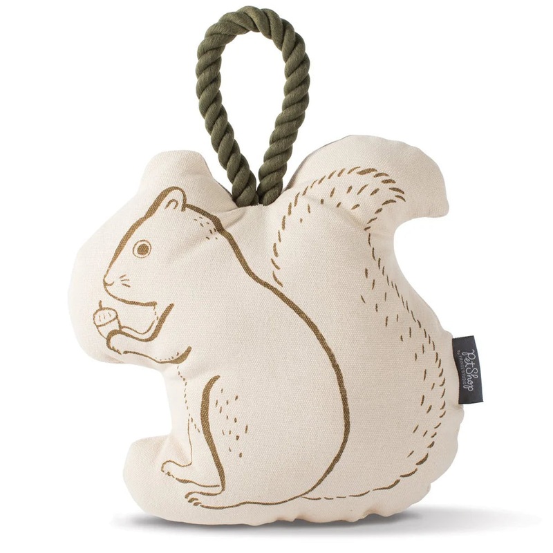 Mister Squirrel Canvas Dog Toy