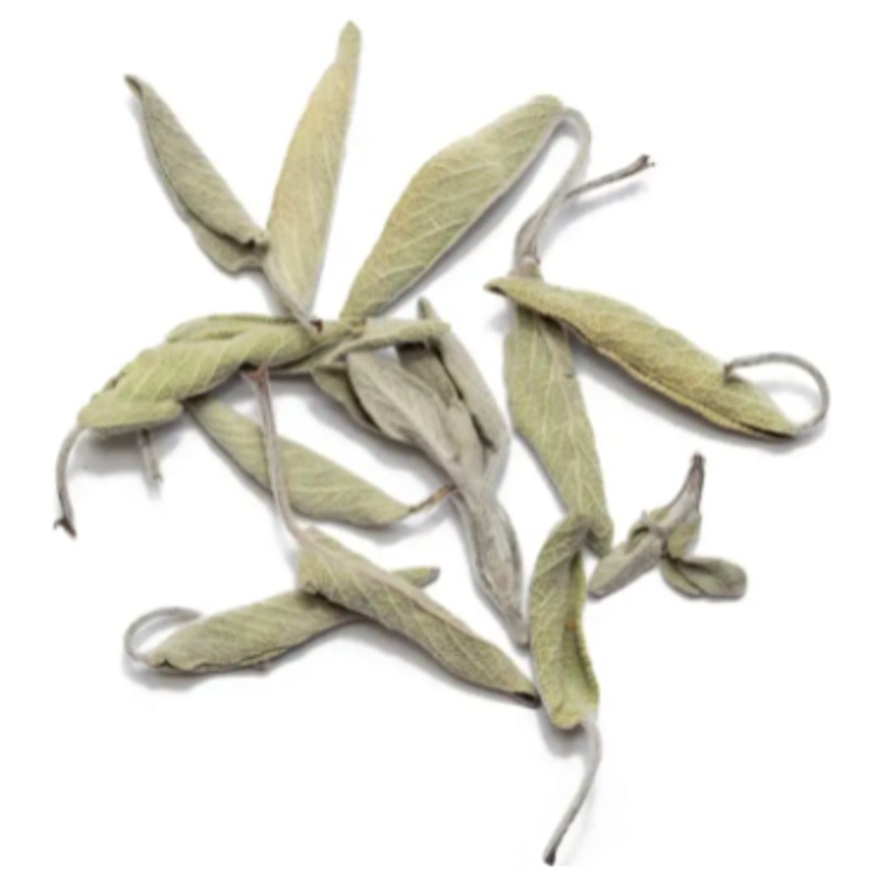 Sage - Turkey