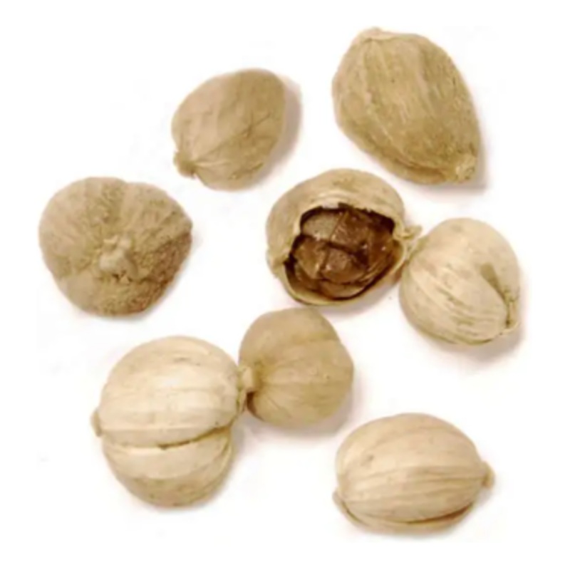 White Cardamom 15g.