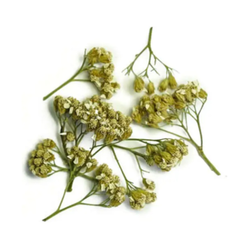 Yarrow (Quebec)