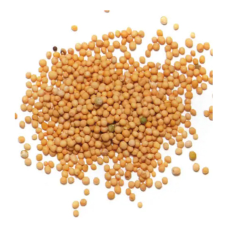 Yellow Mustard