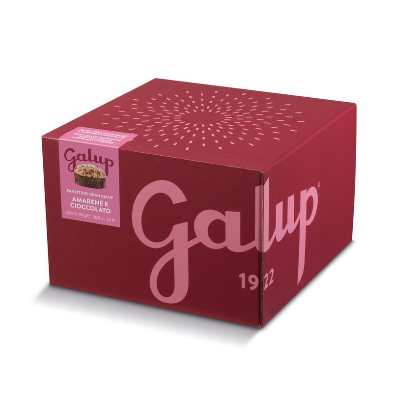 Galup Panettone with Black Cherry & Chocolate