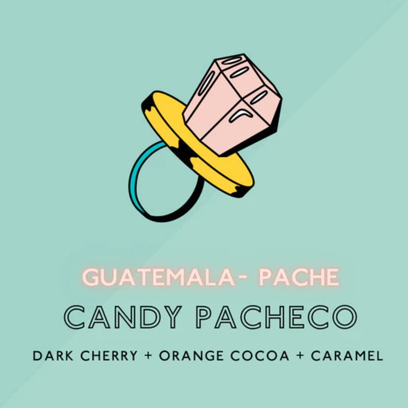 Candy Pacheco Medium Roast