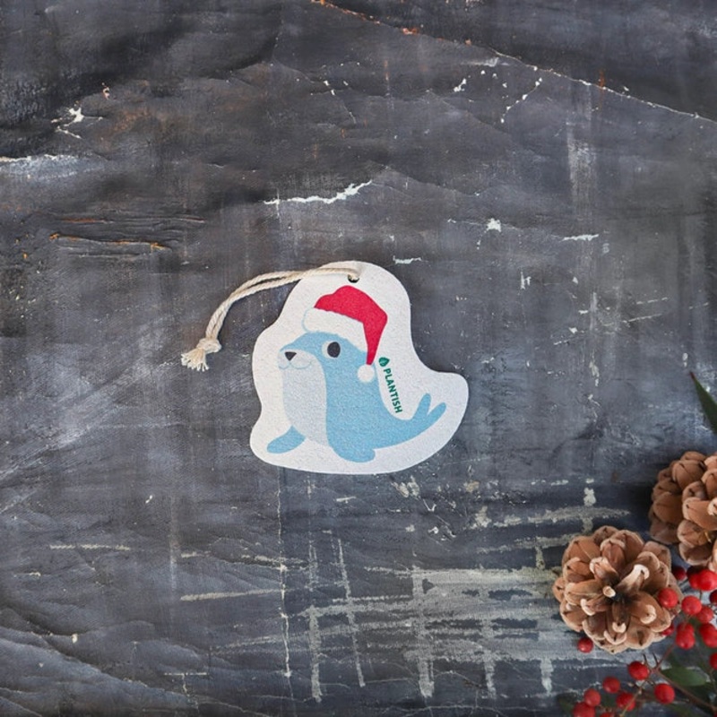 Holiday Seal Pop Up Sponge
