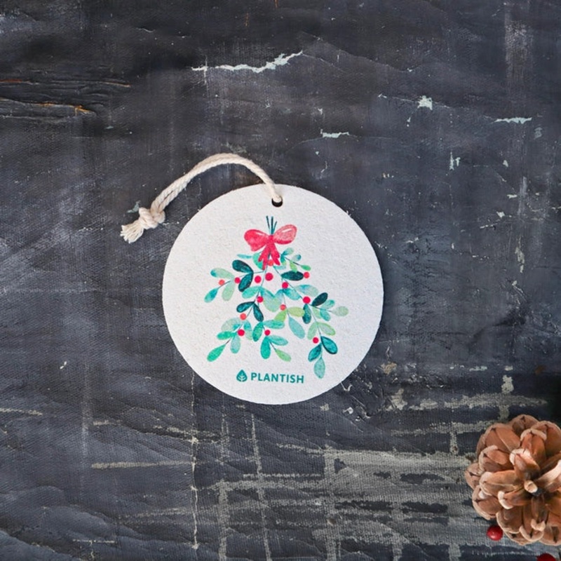 Mistletoe Pop Up Sponge