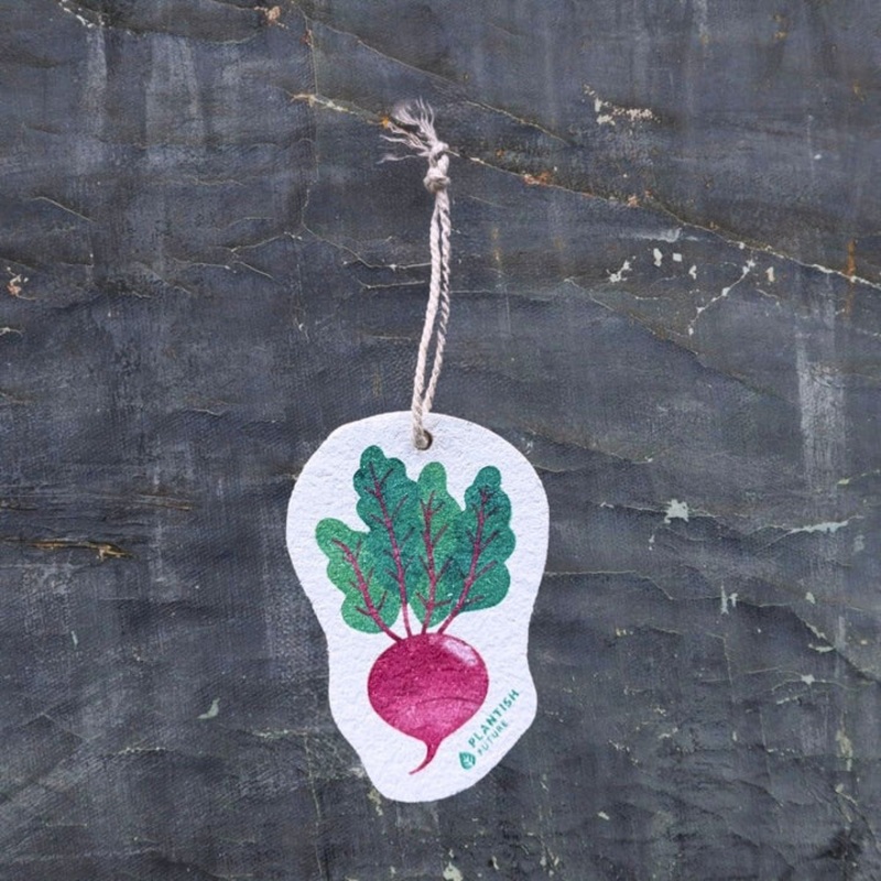 Beet Green pop Up Sponge