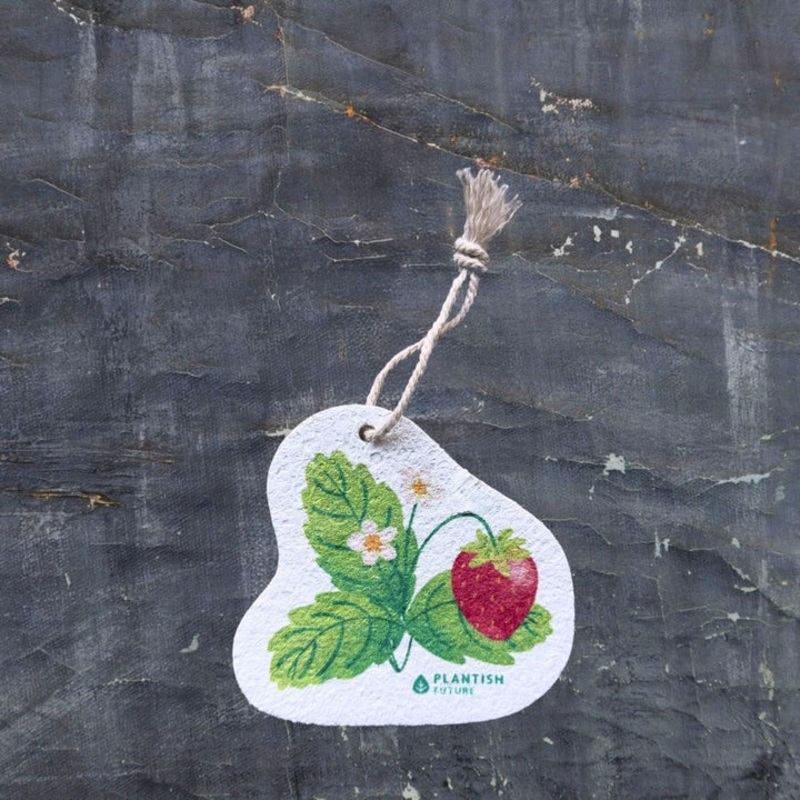 Strawberry Patch Pop Up Sponge