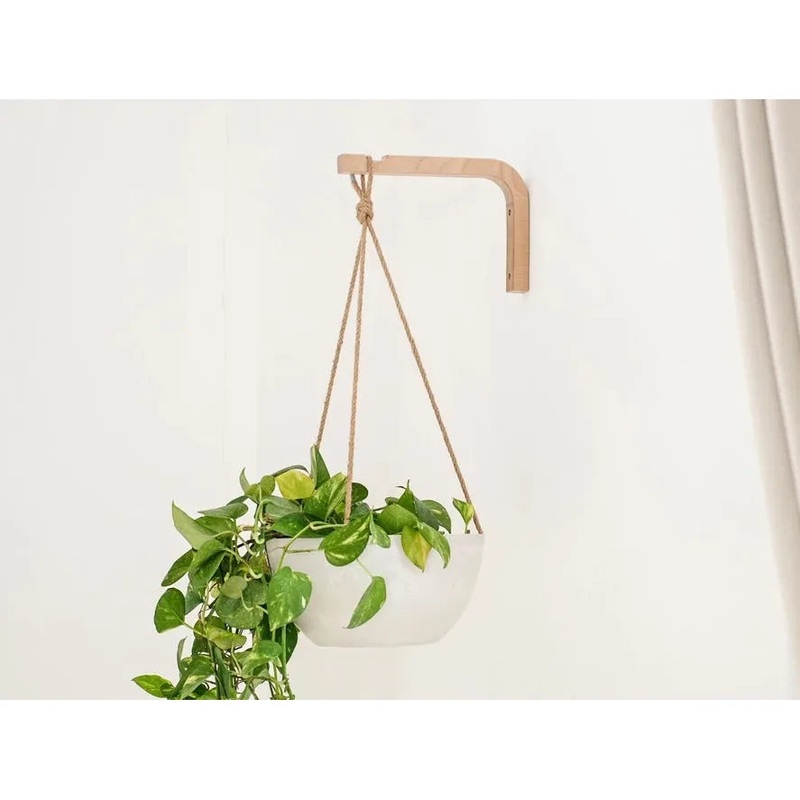 Birch Wall Hanger for Plants