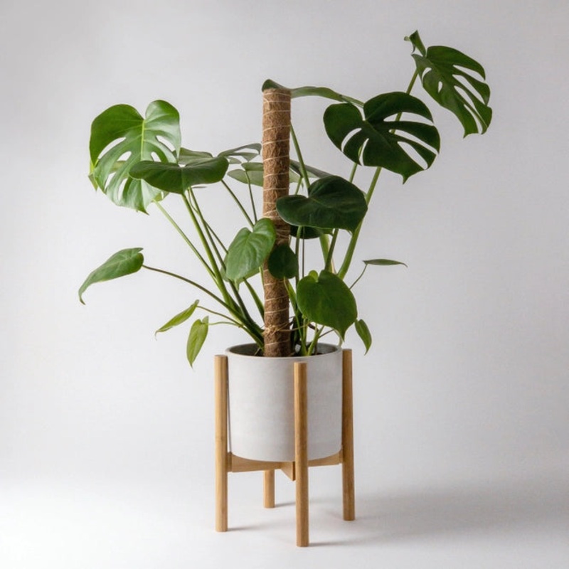 Large Coco Coir Pole for Plant Support