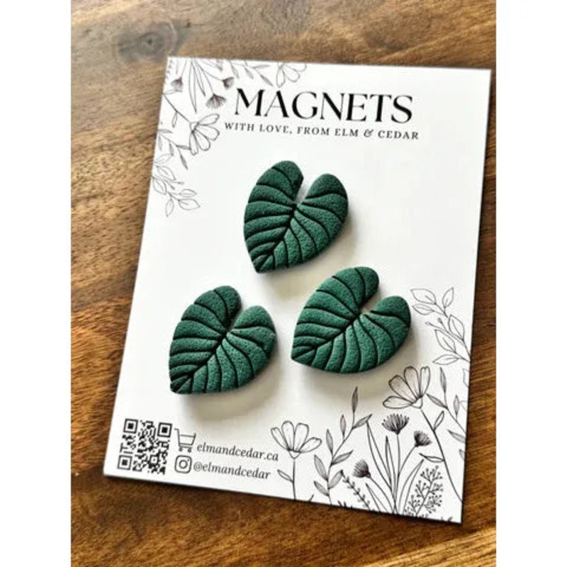 Monstera Magnet Set