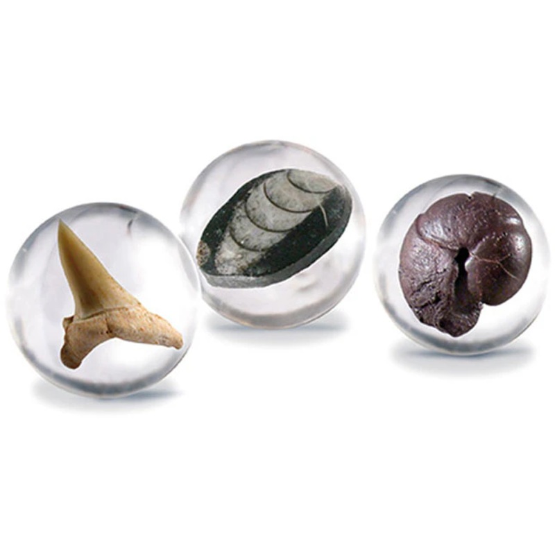 Paleo World Marbles