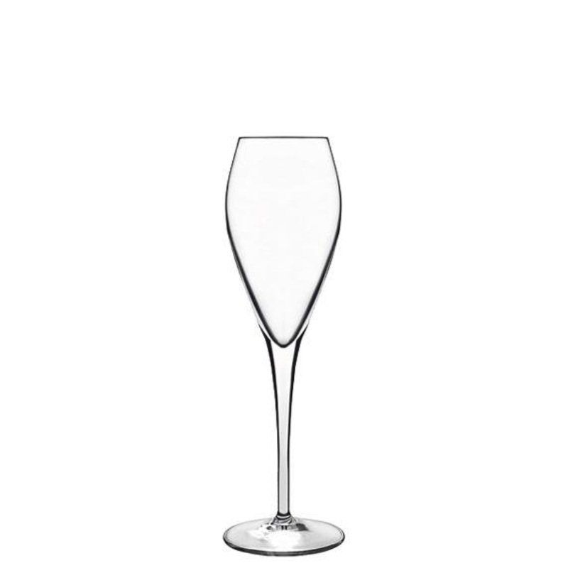 Atelier Sparkling Wine Glass - Set of 6