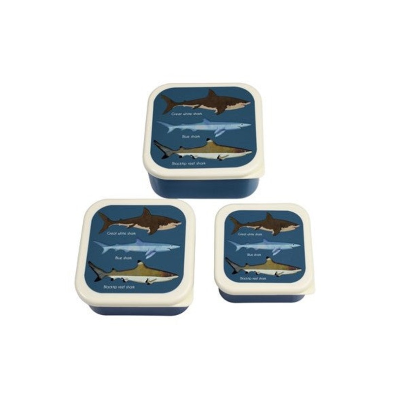 Rex Set of 3 Snack Boxes - Sharks