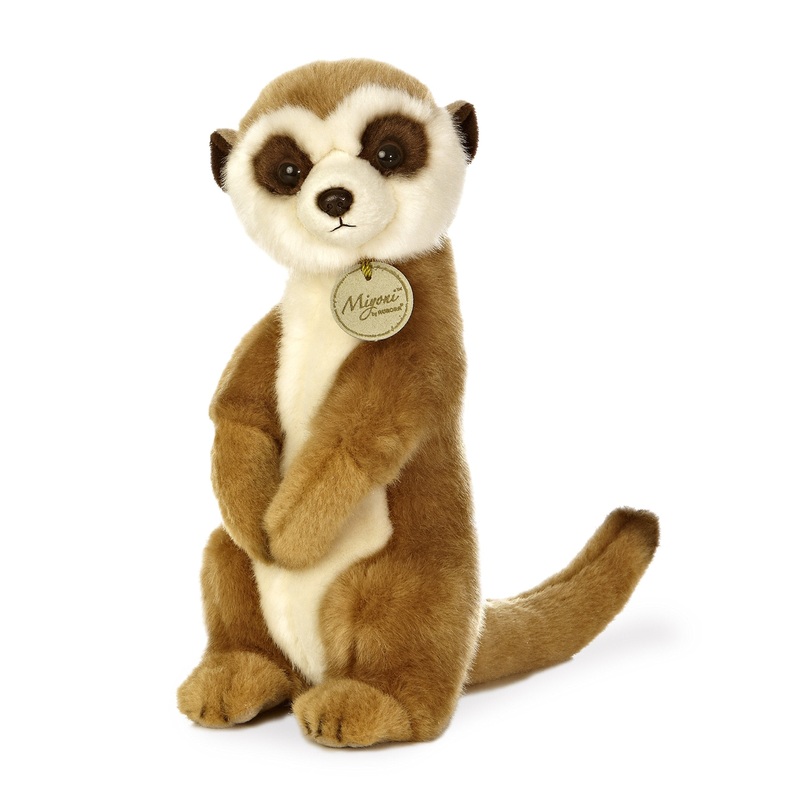 Meerkat Teddy