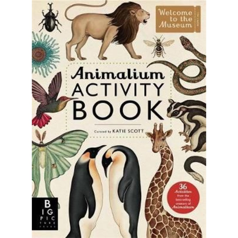 Animalium Acitivity Book