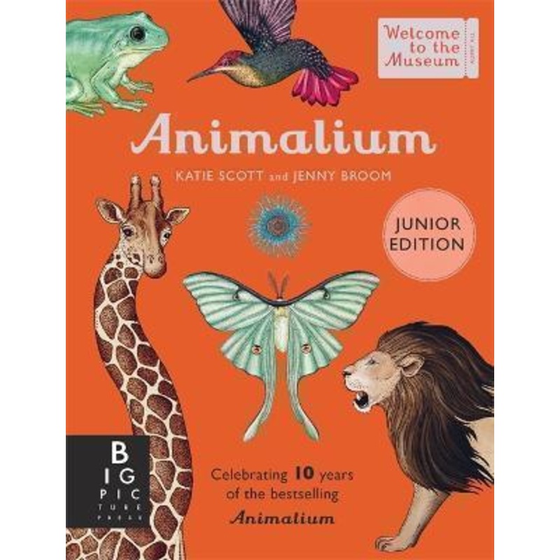 Animalium Junior Edition Hardback Book