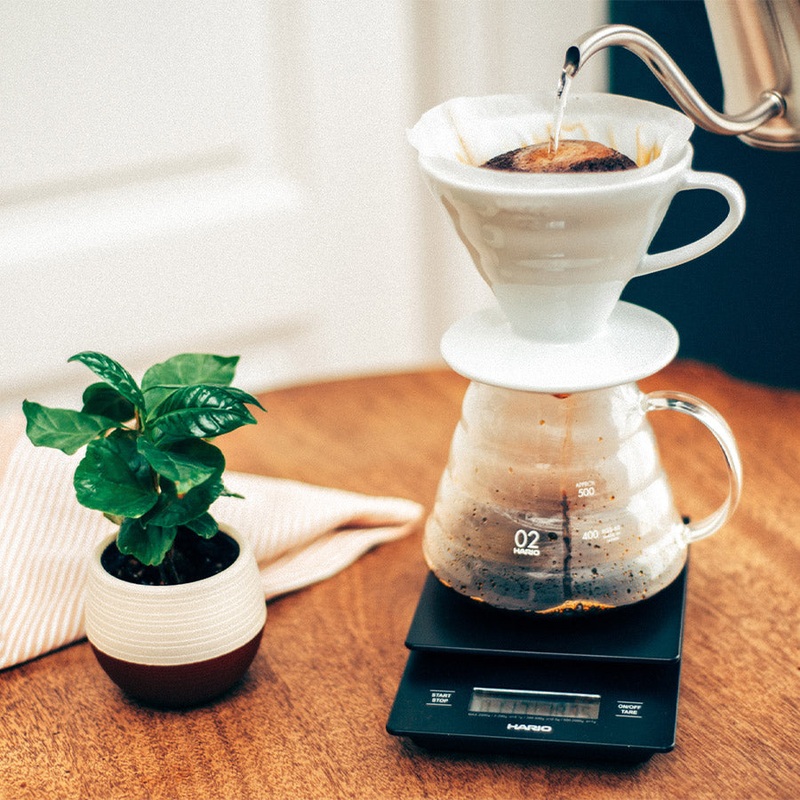 Hario V60 Range Glass Server Jug 600ml Clear