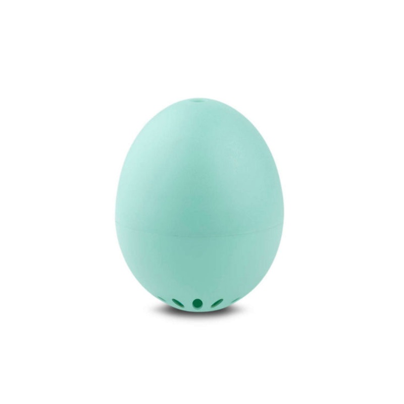 Turquoise BeepEgg Basic