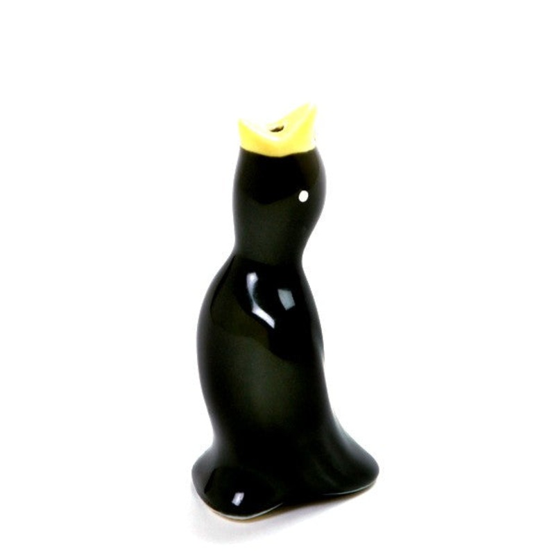 Black Pie Bird