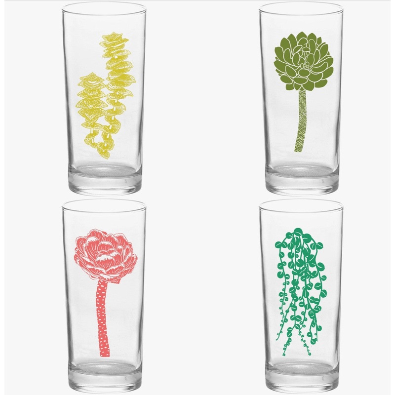 Succulent Garden Colors Collins Glass Box of 4 Mixed