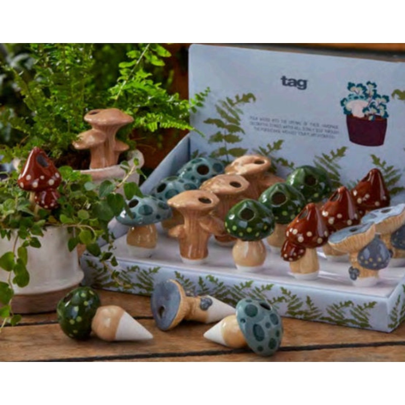 Mushroom Plant Pet