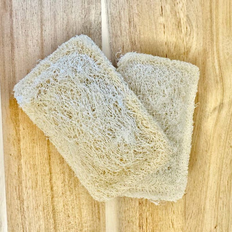 Loofah