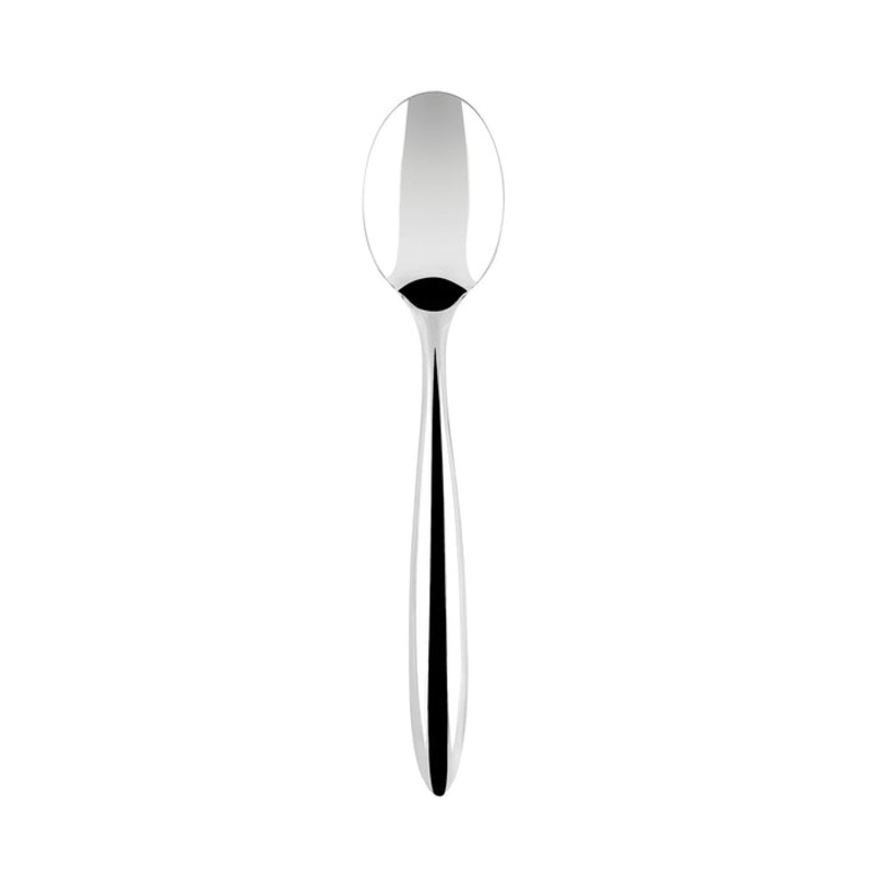 Solid Serving Spoon