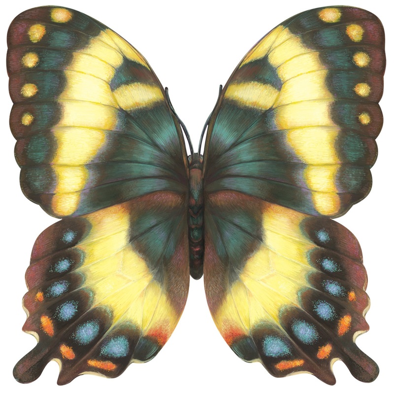 Hester & Cook Die-cut Butterfly Placemat