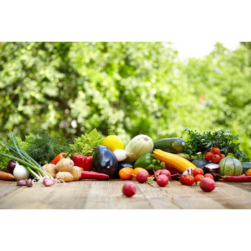Best in Season: Garden Harvest (Hands On)