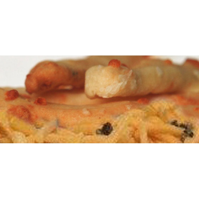 Coleen's Colby Cracked Pepper Breadsticks