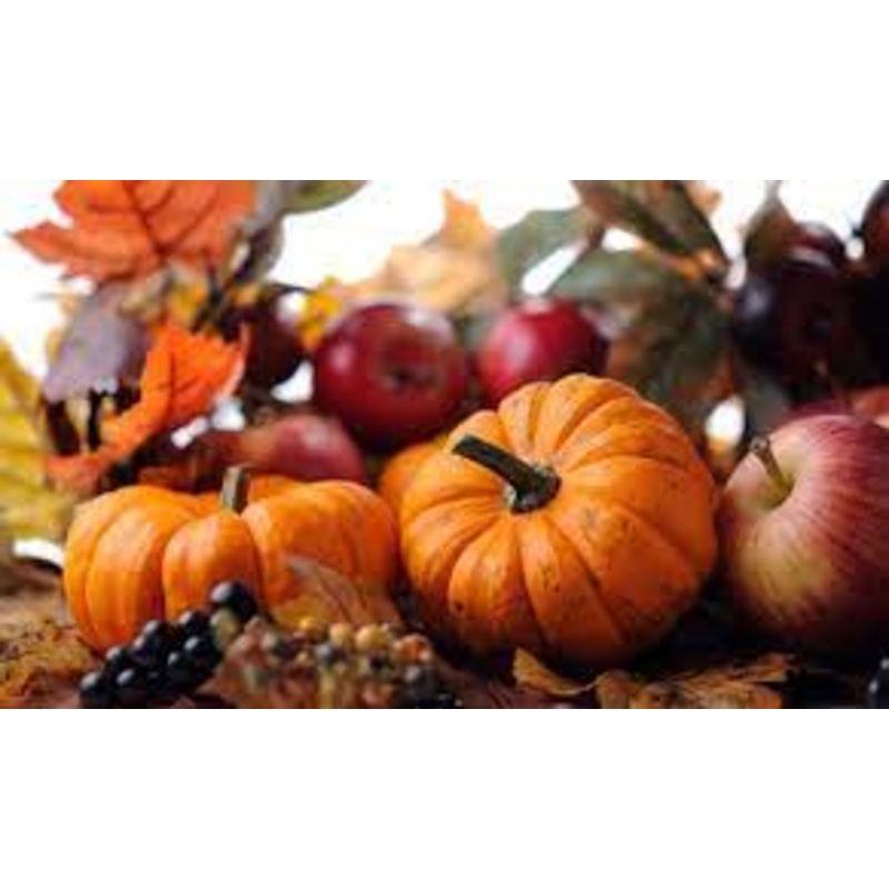 Harvest Kitchen (Hands On)