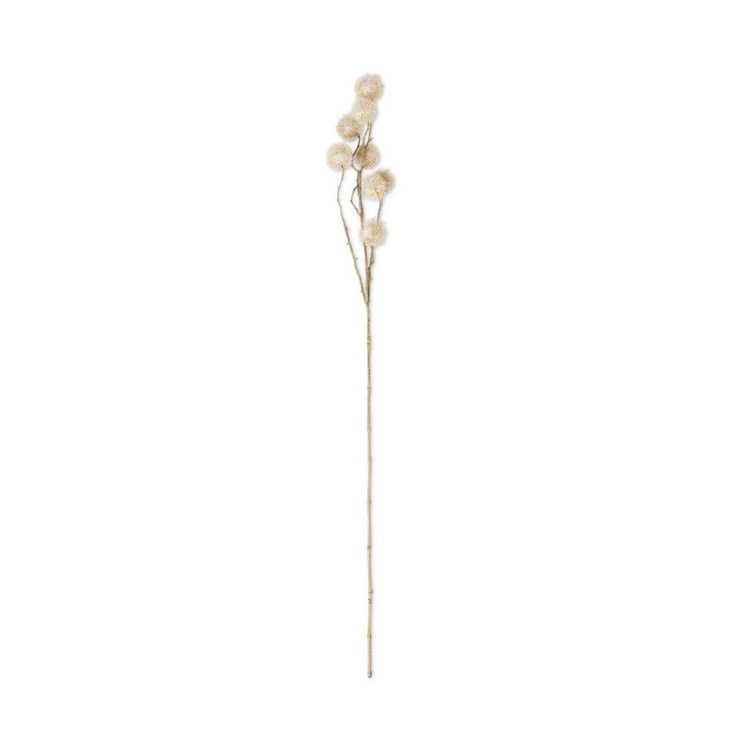 Natural Sycamore Fruit Ball Stem 32"