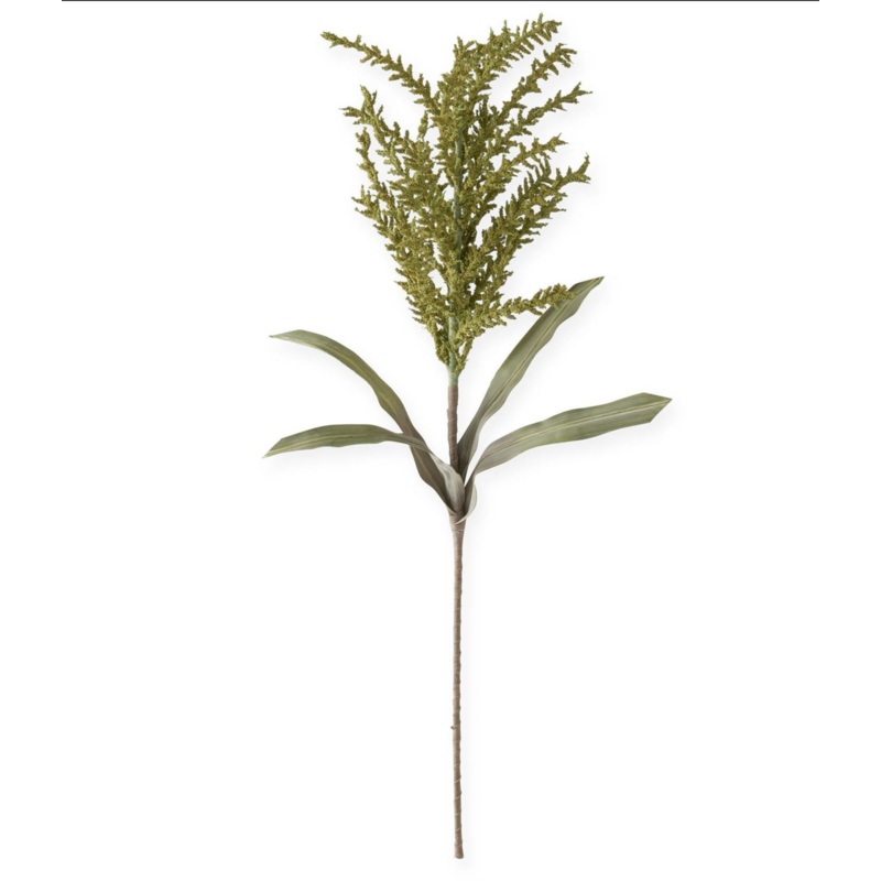 Seed Berry Eva Stem 40" Green
